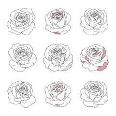 Minimal Rose Outline Collection