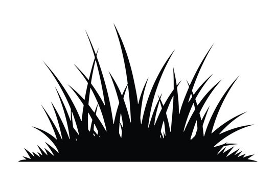 Black silhouette of a clump of grass blades against a white background vector