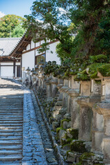 Fototapeta premium Moss-covered stone lanterns line a traditional cobblestone stairway leading to a historic temple in the serene Nara Park, Japan.