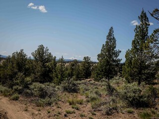 Far away view of Mount Hood in central Oregon through dry high desert pine forest