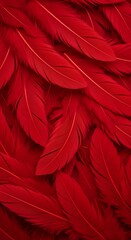 A close-up view of many vibrant red feathers densely packed together, showcasing their intricate textures and delicate structures.