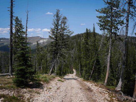 View looking down ATV trail on Jew Mountain in Bitterroot Mountains in Montana in summer
