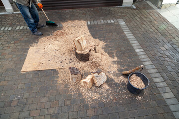 Sweeps sawdust after cutting firewood in yard