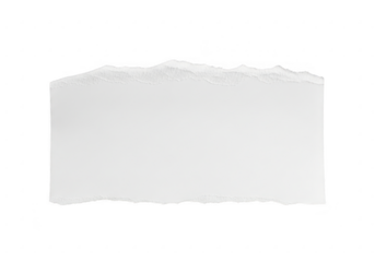 Torn white paper isolated on transparent background