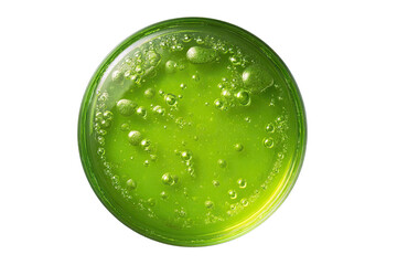 Green liquid with bubbles in a dish on a black background