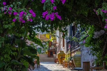 The old courtyard hides behind the flowering trees during the hot summer. There are large ceramic vessels in the courtyard of the house. The interior of an old house in the Kaleici district.
