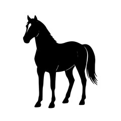 Elegant Black Horse Silhouette Vector Illustration Isolated