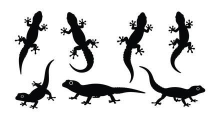 Black silhouettes of lizards in various poses and orientations are displayed