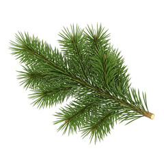 Naklejka premium Green Pine and Spruce Branches Illustration – AI Generated