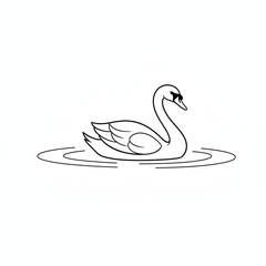 A beautiful graceful swan glides peacefully on the calm surface of water