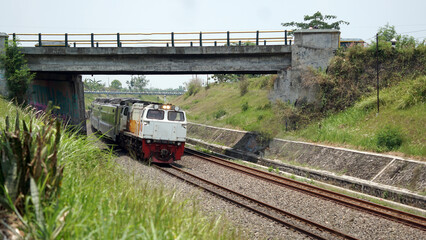 A fast-moving train glides smoothly along the railway tracks, showcasing power, motion, and precision in transportation
