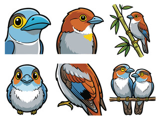 Collection of colorful cartoon bird illustrations in various poses and styles.