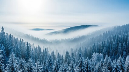 Snowy forest landscape with foggy hills and frosted evergreen trees under sunny sky