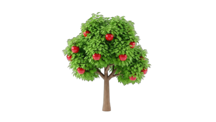 Apple Tree with Red Apples Isolated on White Background