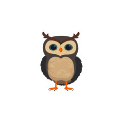 owl on white background