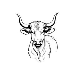 vector illustration of a cow