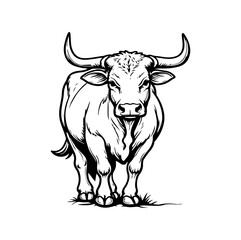 vector illustration of a cow