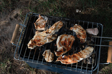 grilled chicken breasts on outdoor barbecue with metal grate and wood handles amidst lush green grass, embodying rustic outdoor cooking and charred flavor in natural setting, delicious, relaxation