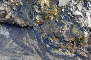 途切れることの無い、寄せては返す波の織りなす浜辺のパターン。時を忘れて自然の光景に見入っている自分。太古から連綿と繰り返されている自然の営み。母なる水を蓄えた優しく美しい地球。人間・ホモサピエンスは自らの幸せを得たいがために、どれほど地球をいじめてきたか。今、その地球が危機に瀕している。うめき声すらも聞こえてくる。混沌とした世の中、私たちは何をなすべきか、できることは何か。