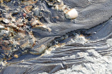 途切れることの無い、寄せては返す波の織りなす浜辺のパターン。時を忘れて自然の光景に見入っている自分。太古から連綿と繰り返されている自然の営み。母なる水を蓄えた優しく美しい地球。人間・ホモサピエンスは自らの幸せを得たいがために、どれほど地球をいじめてきたか。今、その地球が危機に瀕している。うめき声すらも聞こえてくる。混沌とした世の中、私たちは何をなすべきか、できることは何か。