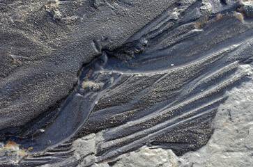 途切れることの無い、寄せては返す波の織りなす浜辺のパターン。時を忘れて自然の光景に見入っている自分。太古から連綿と繰り返されている自然の営み。母なる水を蓄えた優しく美しい地球。人間・ホモサピエンスは自らの幸せを得たいがために、どれほど地球をいじめてきたか。今、その地球が危機に瀕している。うめき声すらも聞こえてくる。混沌とした世の中、私たちは何をなすべきか、できることは何か。