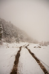 A snow-covered track with visible mud ruts leads into a dense, foggy, snow-laden coniferous forest © Collab Media