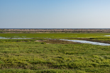 Point Mugu. Mugu Canyon Rest Area, California State Route 1,  Pacific Coast Highway. Santa Monica Mountains, Ventura County.