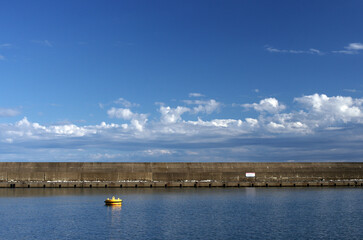 穏やかな秋日和の今日。海が見たくなって車を走らせた。行く先はいつもの漁港。広い太平洋が眼前に広がっている。じっと眺めていると頭も心も軽くなり、身体さえも宙に浮いていくように感じる。少し風が出てきた。それを避けるように、私は防波堤の内側に腰を下ろし停留中の漁船を眺める。楽しいひとときだ。ときおりカモメが頭上でけたたましく囀ってはどこかに舞い飛び、消えていく。