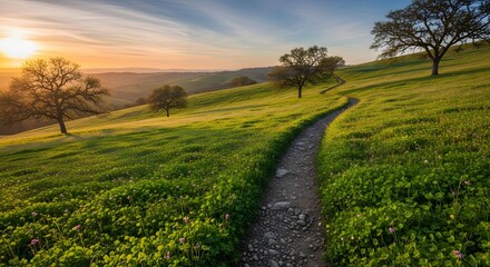 Obraz premium Winding Trail Through Green Hills at Sunset Serene Path Through Rolling Greenery Nature Scenery of Countryside Landscape