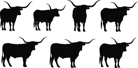 Silhouettes of longhorn cattle in various poses and arrangements