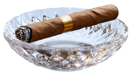 
i want tags in paragraph from and iwant comma after each tag and want 32 tags 