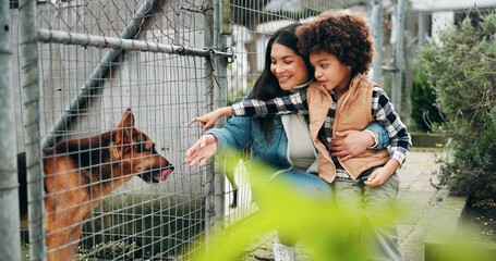 Mother, child or smile at shelter with dog for pet adoption, bonding or companion search by fence. Happy, mom and boy outdoor with hug for domestic animal welfare, volunteer service or canine foster.