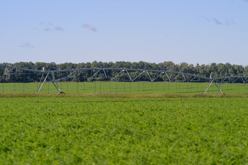 This is an irrigated crop field equipped with a modern sprinkler system for efficient watering