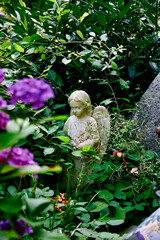 kleiner Engel hinter lila Bl&uuml;ten auf einem Grab kleiner Friedhof in Ratingen