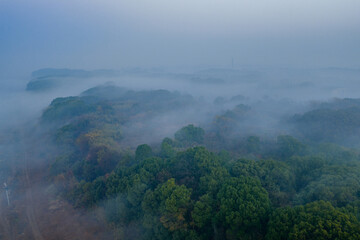 misty morning in the mountains
