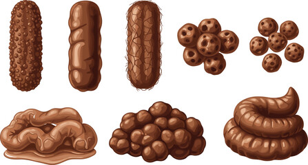 Cartoon poop types illustration, various stool shapes, humorous feces icons, medical reference, brown textures, vector set, white background