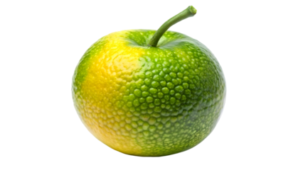 green apple and orange