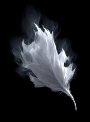 Ethereal white feather dissolves into wisps of smoke.