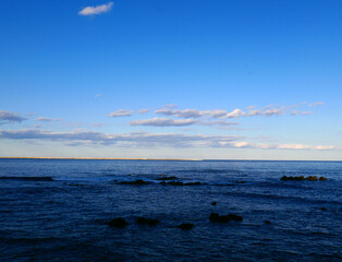 海が見たくなって車を走らせた。いつもの見慣れた海岸と海。今日の輝きは優しくおおらかで、晩秋の空気感が漂っている。新鮮な見知らぬ世界が広がっている。太平洋だ。海の彼方に思いを馳せる。何度、この大海を上空から眺めたことか。地球の反対側の姿が見えてきた。楽しんでばかりでは居られなかった。混沌とした世の中、紛争が繰り返され、地球温暖化という重大な危機を迎えている。私たちは何をなすべきか、できることは何か。