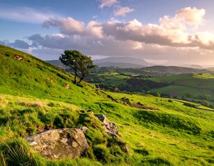Obraz premium Rolling green hills with a lone tree under a cloudy sky