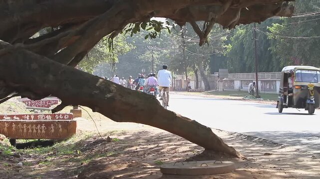 MM25_00012_20091210_HD_BBSR_road1