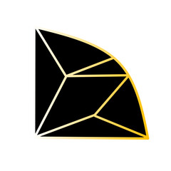 gold and black corners of the polygon