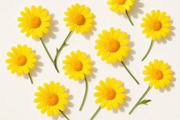 Sunny Daisies: A collection of vibrant yellow daisies, artfully arranged against a bright backdrop, embodying the essence of summer.