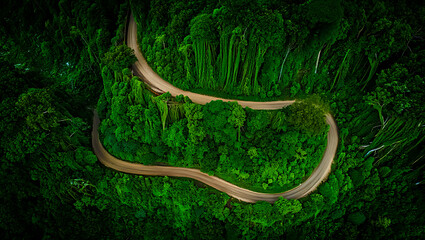 Obraz premium An aerial drone shot of a U-shaped winding road through a dense, mossy green forest.