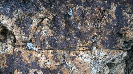 Detailed Texture of Manganese Nodule Mineral Formation