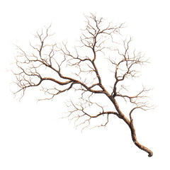 Detailed 3D Rendering of a Isolated Bare Branch | Photorealistic Render