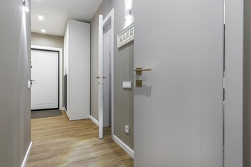Modern Apartment Hallway with White Doors and Wooden Floor