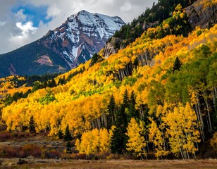 Stunning autumn mountain scene with vibrant yellow aspens and snow-capped peak