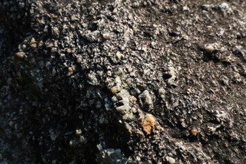 Close up detail of dark rough rock surface. natural granite stone texture background showing mineral crystal patterns, creating solid and earthy feel
