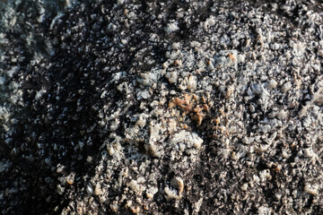 Dark abstract background texture of burnt ash, cinder, and coal remnant. desolate surface shows fine detail of cooled embers from spent fire